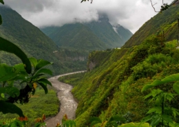 Step-Forward-Foundation-Ecuador-2