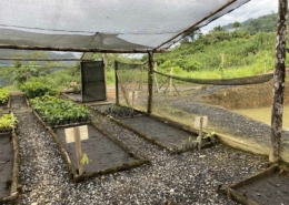 Un-Paso-Adelante-Step-Forward-Foundation-Ecuador-IMG_5722