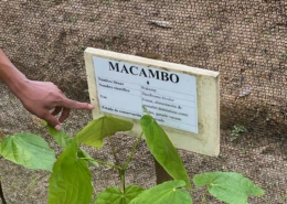 Un-Paso-Adelante-Step-Forward-Foundation-Ecuador-economic development 3