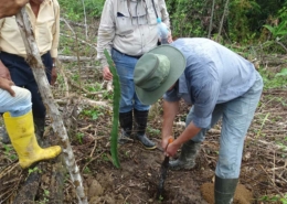 Un-Paso-Adelante-Step-Forward-Foundation-Ecuador-economic development 5