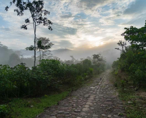 Un-Paso-Adelante-Step-Forward-Foundation-Ecuador-warastai-19